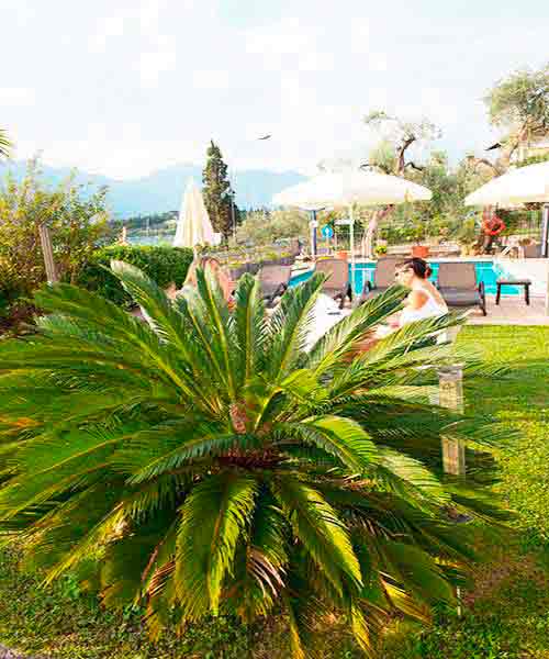 Giardino